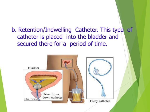 Urinary Catheterization | PPTX | First Aid | Injuries
