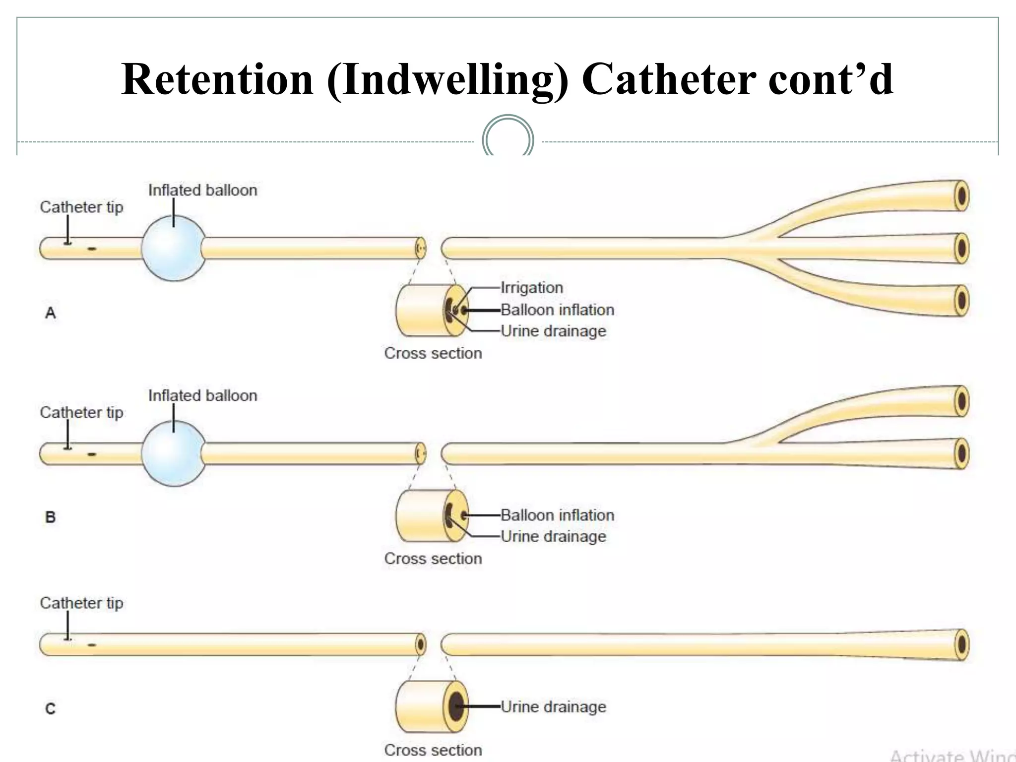Catheterization.pptx