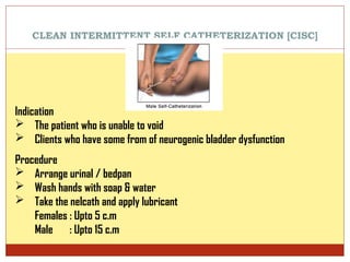 General Clean Intermittent Cath Rx Form CATHETERIZATION & BLADDER NEW CARE in elderly | PPTX