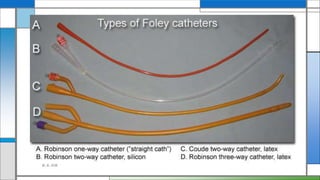 Catheters | PPT
