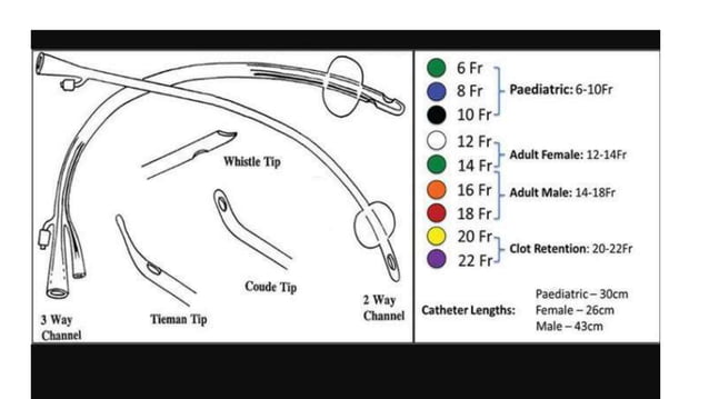 catheters and urethral catheterization.pptx