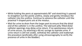 • While holding the penis at approximately 90° and stretching it upward
to straighten out the penile urethra, slowly and gently introduce the
catheter into the urethra. Continue to advance the catheter until the
proximal Y-shaped ports are at the meatus.
• Wait for urine to drain from the larger port to ensure that the distal
end of the catheter is in the urethra. The lubricant jelly–filled distal
catheter openings may delay urine return. If no spontaneous return
of urine occurs, try attaching a 60-mL syringe to aspirate urine. If
urine return is still not visible, withdraw the catheter and reattempt
the procedure (preferably after using ultrasonography to verify the
presence of urine in the bladder)
 