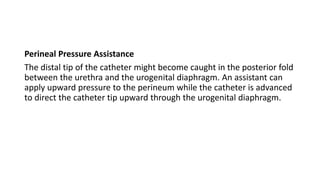 Perineal Pressure Assistance
The distal tip of the catheter might become caught in the posterior fold
between the urethra and the urogenital diaphragm. An assistant can
apply upward pressure to the perineum while the catheter is advanced
to direct the catheter tip upward through the urogenital diaphragm.
 