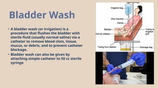 bladder cathetrasation infectionand how to managmant of .pptx