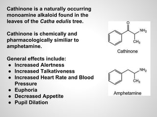 Cathonone Cathinone (power-point to accompany report) | PPTX