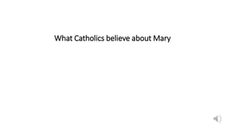 What Catholics believe about Mary
 