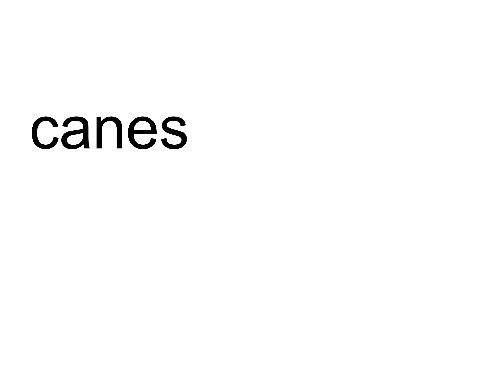 canes 