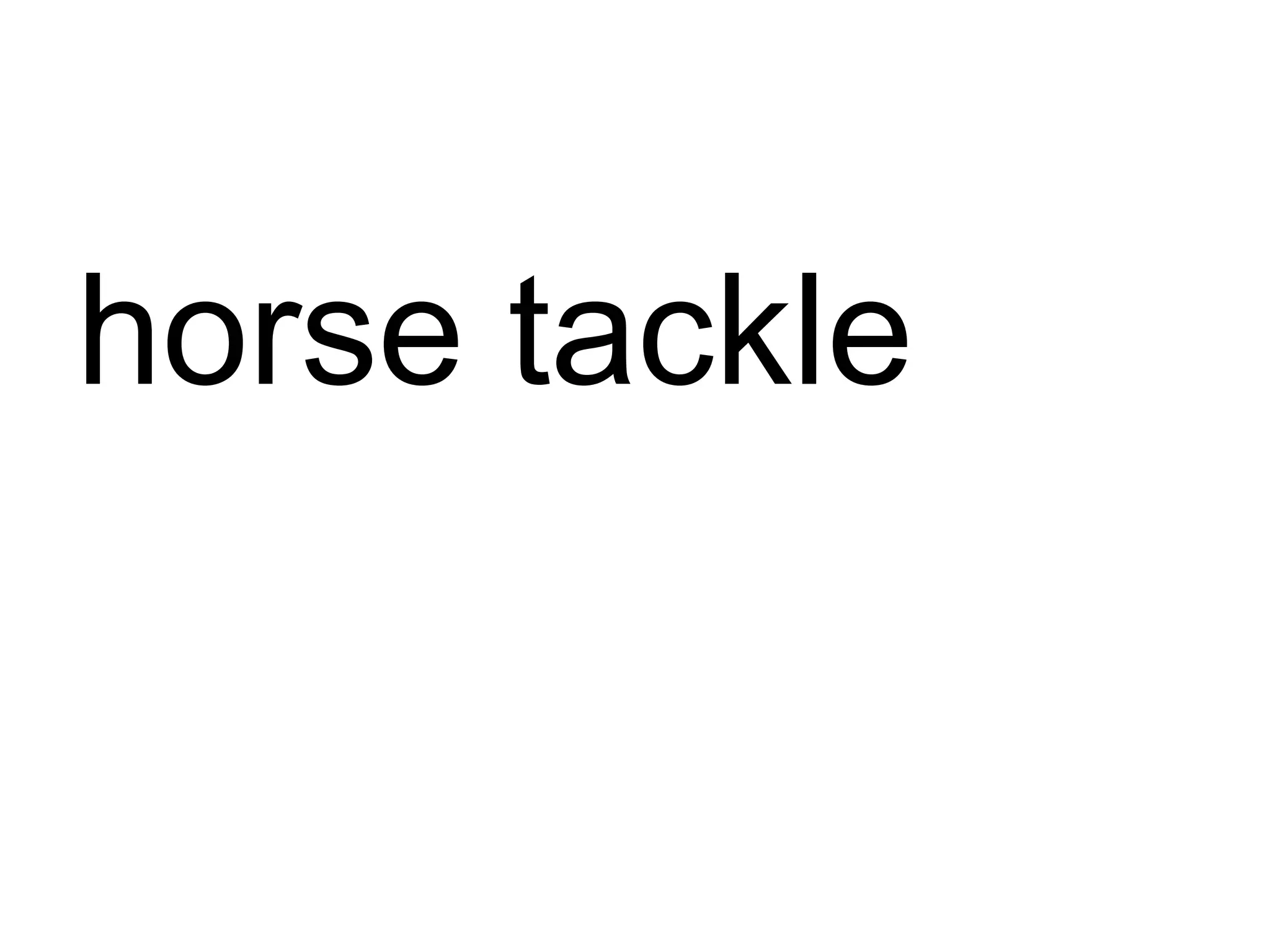 horse tackle 