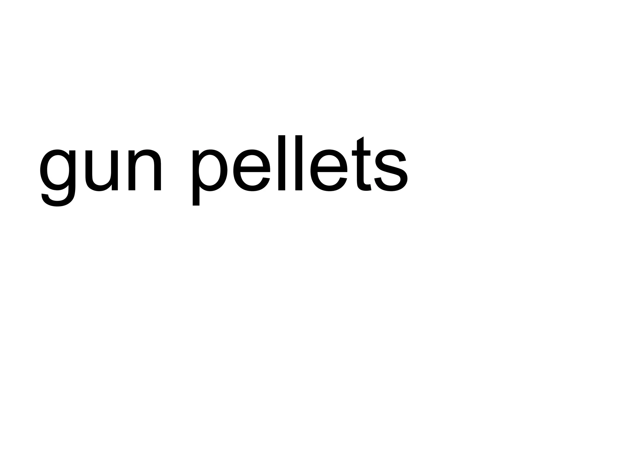 gun pellets 
