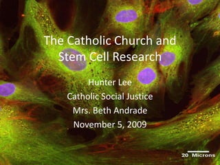 The Catholic Church andStem Cell Research Hunter Lee Catholic Social Justice Mrs. Beth Andrade November 5, 2009 