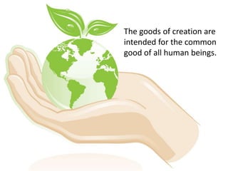 Catholic Social Teaching Good Stewardship Of Creation