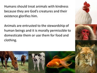 Catholic Social Teaching Good Stewardship Of Creation