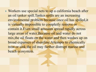 Workers use special nets to up a california beach after an oil tanker spill.Tanker spills are an increasing environmental problem because once oil has spilled,it is virtually impossible to completly remove or contain it.Even small amounts spread rapidly across large areas of water.Because oil and water do not mix,the oil floats on the water and then washes up on broad expanses of shoreline.Attempts to chemically treat or sink the oil may further distrupt marine and beach ecosystem. 