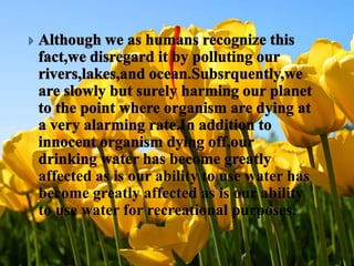 Although we as humans recognize this fact,we disregard it by polluting our rivers,lakes,and ocean.Subsrquently,we are slowly but surely harming our planet to the point where organism are dying at a very alarming rate.In addition to innocent organism dying off,our drinking water has become greatly affected as is our ability to use water has become greatly affected as is our ability to use water for recreational purposes.