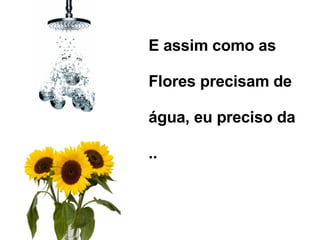 E assim como as Flores precisam de água, eu preciso da ..