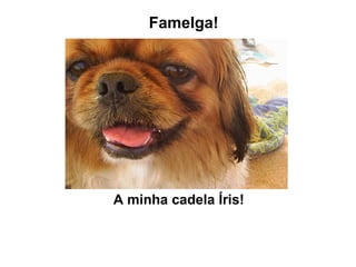 Famelga! A minha cadela Íris!