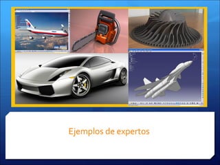 Ejemplos de expertos
 