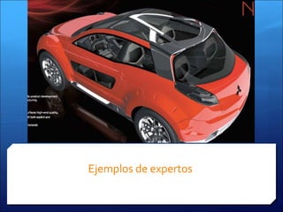 Ejemplos de expertos
 