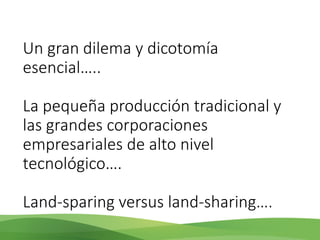 Acelerando el cambio en el sector agropecuario centroamericano: nuevos enfoques de investigación e innovación