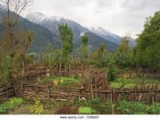 Acelerando el cambio en el sector agropecuario centroamericano: nuevos enfoques de investigación e innovación