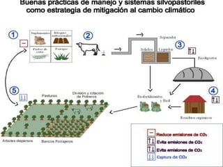 Acelerando el cambio en el sector agropecuario centroamericano: nuevos enfoques de investigación e innovación