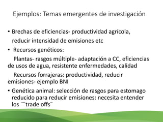Acelerando el cambio en el sector agropecuario centroamericano: nuevos enfoques de investigación e innovación