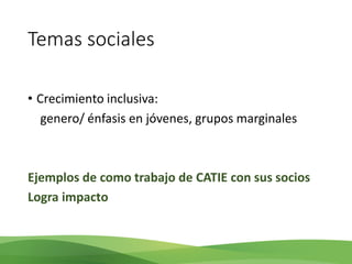 Acelerando el cambio en el sector agropecuario centroamericano: nuevos enfoques de investigación e innovación