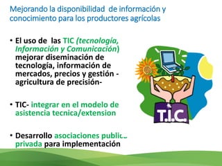 Acelerando el cambio en el sector agropecuario centroamericano: nuevos enfoques de investigación e innovación