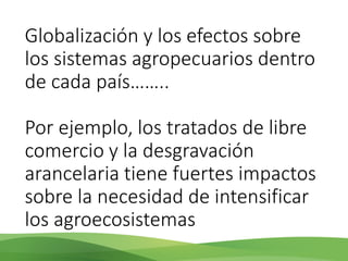 Acelerando el cambio en el sector agropecuario centroamericano: nuevos enfoques de investigación e innovación