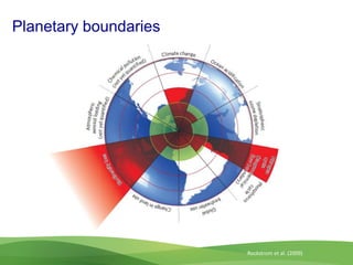 Acelerando el cambio en el sector agropecuario centroamericano: nuevos enfoques de investigación e innovación