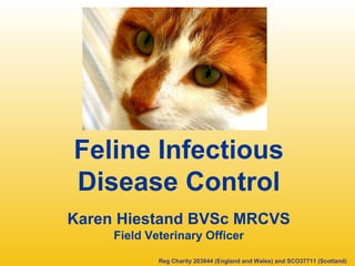 Feline Infectious
Disease Control
Karen Hiestand BVSc MRCVS
     Field Veterinary Officer

             Reg Charity 203644 (England and Wales) and SCO37711 (Scotland)
 