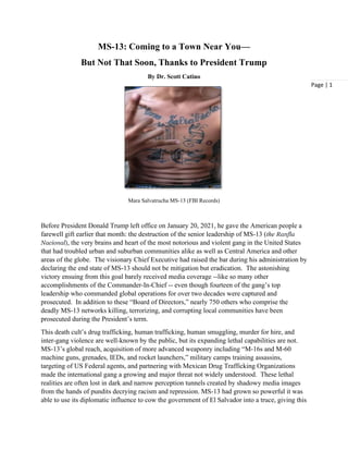 Page | 1
MS-13: Coming to a Town Near You—
But Not That Soon, Thanks to President Trump
By Dr. Scott Catino
Mara Salvatrucha MS-13 (FBI Records)
Before President Donald Trump left office on January 20, 2021, he gave the American people a
farewell gift earlier that month: the destruction of the senior leadership of MS-13 (the Ranfla
Nacional), the very brains and heart of the most notorious and violent gang in the United States
that had troubled urban and suburban communities alike as well as Central America and other
areas of the globe. The visionary Chief Executive had raised the bar during his administration by
declaring the end state of MS-13 should not be mitigation but eradication. The astonishing
victory ensuing from this goal barely received media coverage --like so many other
accomplishments of the Commander-In-Chief -- even though fourteen of the gang’s top
leadership who commanded global operations for over two decades were captured and
prosecuted. In addition to these “Board of Directors,” nearly 750 others who comprise the
deadly MS-13 networks killing, terrorizing, and corrupting local communities have been
prosecuted during the President’s term.
This death cult’s drug trafficking, human trafficking, human smuggling, murder for hire, and
inter-gang violence are well-known by the public, but its expanding lethal capabilities are not.
MS-13’s global reach, acquisition of more advanced weaponry including “M-16s and M-60
machine guns, grenades, IEDs, and rocket launchers,” military camps training assassins,
targeting of US Federal agents, and partnering with Mexican Drug Trafficking Organizations
made the international gang a growing and major threat not widely understood. These lethal
realities are often lost in dark and narrow perception tunnels created by shadowy media images
from the hands of pundits decrying racism and repression. MS-13 had grown so powerful it was
able to use its diplomatic influence to cow the government of El Salvador into a truce, giving this
 
