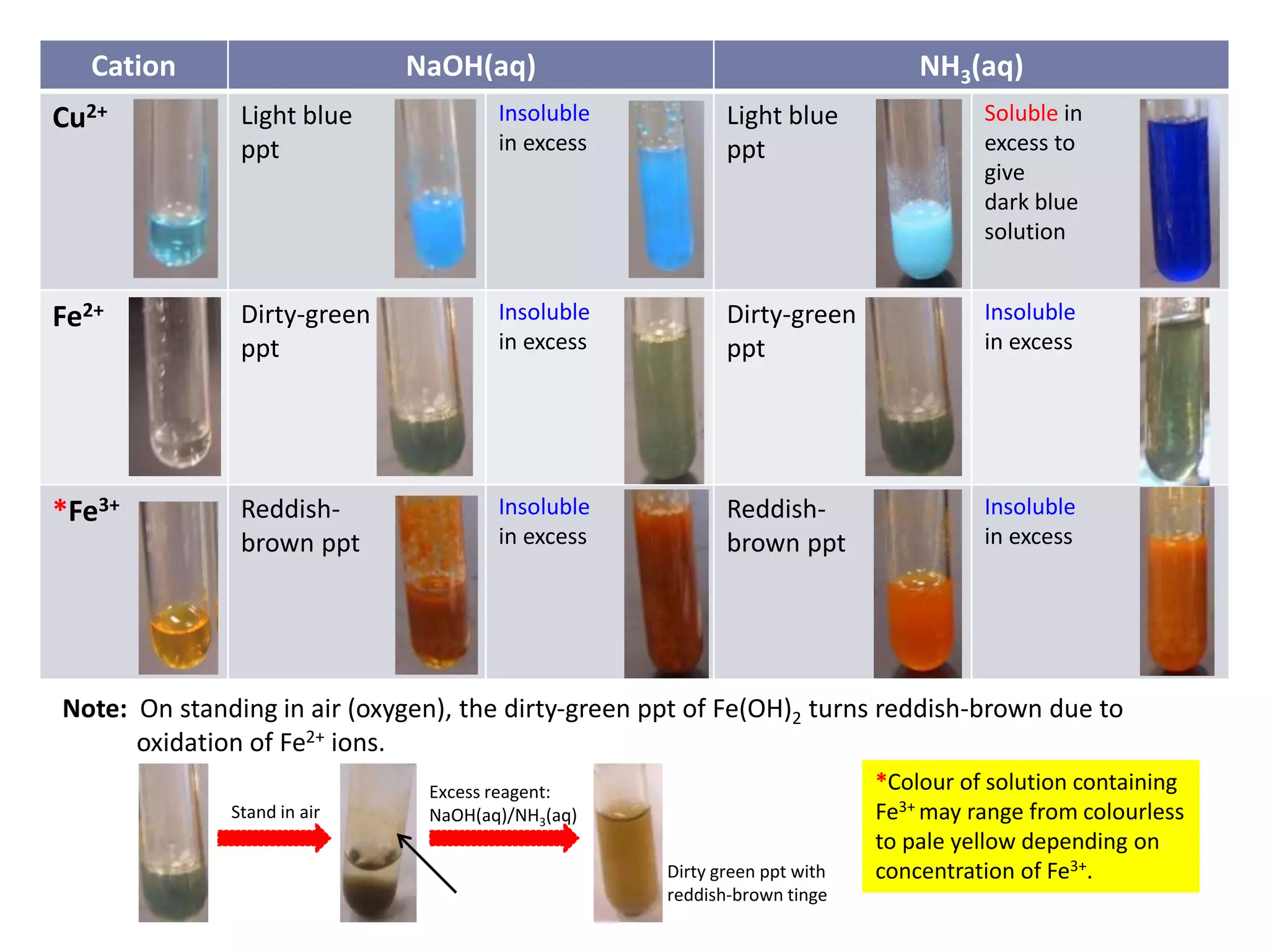 Cation NaOH(aq) NH3(aq)
Cu2+ Light blue
ppt
Insoluble
in excess
Light blue
ppt
Soluble in
excess to
give
dark blue
solution
Fe2+ Dirty-green
ppt
Insoluble
in excess
Dirty-green
ppt
Insoluble
in excess
*Fe3+ Reddish-
brown ppt
Insoluble
in excess
Reddish-
brown ppt
Insoluble
in excess
Note: On standing in air (oxygen), the dirty-green ppt of Fe(OH)2 turns reddish-brown due to
oxidation of Fe2+ ions.
*Colour of solution containing
Fe3+ may range from colourless
to pale yellow depending on
concentration of Fe3+.
Excess reagent:
NaOH(aq)/NH3(aq)
Dirty green ppt with
reddish-brown tinge
Stand in air
 