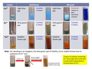 Cation NaOH(aq) NH3(aq)
Cu2+ Light blue
ppt
Insoluble
in excess
Light blue
ppt
Soluble in
excess to
give
dark blue
solution
Fe2+ Dirty-green
ppt
Insoluble
in excess
Dirty-green
ppt
Insoluble
in excess
*Fe3+ Reddish-
brown ppt
Insoluble
in excess
Reddish-
brown ppt
Insoluble
in excess
Note: On standing in air (oxygen), the dirty-green ppt of Fe(OH)2 turns reddish-brown due to
oxidation of Fe2+ ions.
*Colour of solution containing
Fe3+ may range from colourless
to pale yellow depending on
concentration of Fe3+.
Excess reagent:
NaOH(aq)/NH3(aq)
Dirty green ppt with
reddish-brown tinge
Stand in air
 