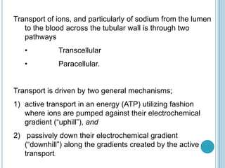 Transport of ions, and particularly of sodium from the lumen
to the blood across the tubular wall is through two
pathways
• Transcellular
• Paracellular.
Transport is driven by two general mechanisms;
1) active transport in an energy (ATP) utilizing fashion
where ions are pumped against their electrochemical
gradient (“uphill”), and
2) passively down their electrochemical gradient
(“downhill”) along the gradients created by the active
transport.
 