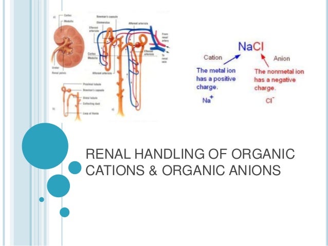 cations and anions