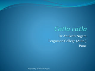 Dr Anukriti Nigam
Fergusson College (Auto.)
Pune
Prepared by: Dr Anukriti Nigam
 