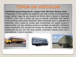 TIPOS DE VEÍCULOS
Caminhões para transporte de cargas vivas: Bovinos, Suínos, Aves.
A legislação (CTB) vigente faz exigência que todo veículo de transporte de
carga animal, traga na sua traseira de forma clara e legível a descrição
"CARGA VIVA" com o intuito de que os demais motoristas não fiquem
muito próximos para evitar acidentes. Mais importante até é o assoalho do
caminhão, pois o peso do cavalo esta concentrado em quatro pontos e
sobre tensão, por isso verifique sempre a condição do assoalho. Acidentes
sérios acontecem com animais em função do assoalho, estar em condição
inadequada de uso, por não dizer podres, remendos nessas horas não é
aconselhável. ( truco e carretas)
 