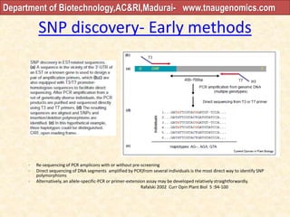 SNP discovery- Early methods
• Re-sequencing of PCR amplicons with or without pre-screening
• Direct sequencing of DNA segments amplified by PCR)from several individuals is the most direct way to identify SNP
polymorphisms
• Alternatively, an allele-specific-PCR or primer-extension assay may be developed relatively straightforwardly.
Rafalski 2002 Curr Opin Plant Biol 5 :94-100
Department of Biotechnology,AC&RI,Madurai- www.tnaugenomics.com
 