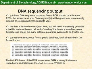 DNA sequencing output
If you have DNA sequence produced from a PCR product or a library of
ESTs, the sequence of your DNA segment(s) will be given to or, more usually,
emailed or electronically transferred to you..
If the data is in the chromatogram form, you will need to manually generate
a text file such as the one below (by “reading” the bases yourself) or, more
typically, use one of the many software programs available to do this for you.
If you retrieve a sequence from a public database, it will already be in this
format for you.
The first 480 bases of the DNA sequence of GAN, a drought tolerance
related gene in Arabidopsis (GenBank Accession AY986818).
Department of Biotechnology,AC&RI,Madurai- www.tnaugenomics.com
 