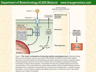 Department of Biotechnology,AC&RI,Madurai- www.tnaugenomics.com
 