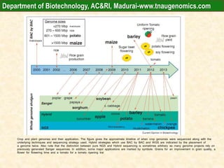 Crop and plant genomes and their application. The figure gives the approximate timeline of when crop genomes were sequenced along with the
underlying techniques and sequencing strategy used. Hybrid strategies which use BAC by BAC and WGS are indicated by the placement of
a genome twice. Also note that the distinction between pure NGS and Hybrid sequencing is sometimes arbitrary as many genome projects rely on
previously generated Sanger sequences. In addition, some major applications are marked by symbols: Grains for an improvement in grain quality, a
flower for flowering time and a tomato for a tomato ripening trai
Department of Biotechnology, AC&RI, Madurai-www.tnaugenomics.com
 
