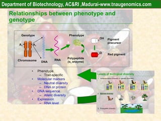 Department of Biotechnology, AC&RI ,Madurai-www.tnaugenomics.com
 