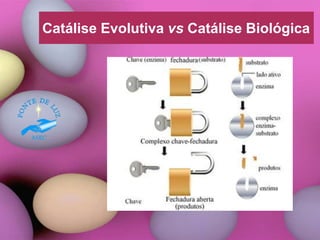 Catálise Evolutiva vs Catálise Biológica
 