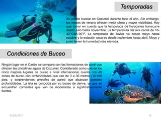 31/01/2017 15
Temporadas
Se puede bucear en Cozumel durante todo el año. Sin embargo,
los meses de verano ofrecen mejor clima y mayor visibilidad. Hay
que tomar en cuenta que la temporada de huracanes transcurre
desde julio hasta noviembre. La temperatura del aire oscila de 18-
32°C/65-90°F. La temporada de lluvias va desde mayo hasta
octubre y la estación seca es desde noviembre hasta abril. Mayo y
junio tienen la humedad más elevada.
Condiciones de Buceo
Ningún lugar en el Caribe se compara con las formaciones de coral que
ofrecen las cristalinas aguas de Cozumel. Considerado como uno de los
cinco mejores lugares de buceo a nivel internacional, cuenta con 40
zonas de buceo con profundidades que van de 3 a 30 metros /10-100
pies, y sorprendentes arrecifes de pared que alcanzan grandes
profundidades. La isla es conocida por su buceo de deriva, ya que se
encuentran corrientes que van de moderadas a significativamente
fuertes.
 
