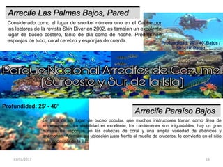 31/01/2017 18
Arrecife Las Palmas Bajos, Pared
Considerado como el lugar de snorkel número uno en el Caribe por
los lectores de la revista Skin Diver en 2002, es también un excelente
lugar de buceo costero, tanto de día como de noche. Predominan
esponjas de tubo, coral cerebro y esponjas de cuerda. Profundidad: 20’ - 40’ Bajos /
50’ - 70’ Pared
Arrecife Paraíso Bajos
Se trata de un lugar de buceo popular, que muchos instructores toman como área de
entrenamiento. La visibilidad es excelente, los cardúmenes son inigualables, hay un gran
número de esponjas en las cabezas de coral y una amplia variedad de abanicos y
anémonas. Además, su ubicación justo frente al muelle de cruceros, lo convierte en el sitio
más accesible de la isla.
Profundidad: 25’ - 40’
 