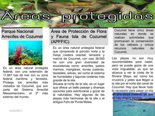 31/01/2017 21
Cozumel tiene cinco áreas
naturales en donde se
realizan actividades que
promueven la conservación
de los valiosos y únicos
recursos naturales de
Cozumel.
Parque Nacional
Arrecifes de Cozumel
Área de Protección de Flora
y Fauna Isla de Cozumel
(APFFIC)
Es un área natural protegida federal
que comprende la porción norte y la
franja costera oriental, terrestre y
marina de Cozumel, con casi 38,000
ha con una gran diversidad de
ecosistemas como: arrecifes, pastos
marinos, manglares, dunas costeras,
tasistales, selvas, así como el sistema
de humedales y lagunas costeras más
grande de la isla.
Situada al norte de la isla, es un lugar
que ofrece un bello paisaje y diversas
opciones para aventurarse y gozar de
la naturaleza. Hay algunas de las
playas más hermosas de la isla y el
antiguo Faro de Punta Molas.
Es un área natural protegida
federal, con una extensión de
11,987 has de mar con su zona
federal marítima y terrestre.
Protege los arrecifes más
visitados de Cozumel, que son
parte del Sistema Arrecifal
Mesoamericano, el 2º más
extenso del mundo.
Las playas no son muy
recomendables para nadar,
pero se puede gozar de una
vista inigualable, ya que se
alcanza a ver la costa de la
Riviera Maya, así como los
cruceros y yates que llegan a
la isla por el norte del canal de
Cozumel. Hay que llevar todo
lo necesario para pasar un día
en una playa solitaria, ya que
no hay ningún servicio.
 