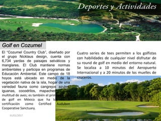 31/01/2017 25
Golf en Cozumel
El “Cozumel Country Club”, diseñado por
el grupo Nicklaus design, cuenta con
6,734 yardas de paisajes selváticos y
manglares. El Club mantiene normas
ambientales y participa en programas de
Educación Ambiental. Este campo de 18
hoyos está ubicado en medio de la
vegetación nativa de la isla, hogar de una
variedad fauna como cangrejos azules,
iguanas, cocodrilos, mapaches y una
multitud de aves; es también el primer campo
de golf en México que ha logrado la
certificación como Certified Audubon
Cooperative Sanctuary.
Cuatro series de tees permiten a los golfistas
con habilidades de cualquier nivel disfrutar de
su round de golf en medio del entorno natural.
Se localiza a 10 minutos del Aeropuerto
Internacional y a 20 minutos de los muelles de
cruceros.
 