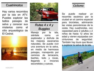 31/01/2017 30
Cuatrimotos
Hay varios recorridos
por la isla en ATV.
Puedes explorar las
bellos paisajes de
selva y conocer sus
misterios como el
sitio arqueológico de
El Cedral.
Rutas 4 x 4 y
Buggies
Maneja por la isla,
siéntete como un
explorador y disfruta de
los mejores escenarios
naturales. Se puede vivir
una aventura en la selva,
en medio de hermosos
paisajes, manejando por
caminos de terracería,
baches, lodo y rocas,
llegando a rincones
escondidos y cuevas.
Ciclismo
Se puede realizar un
recorrido escénico por la
ciudad en el camino especial
para bicicletas, admirando
las vistas panorámicas de la
costa. Hay cuadriciclas, con
capacidad para 2 adultos y 2
niños de hasta 12 años de
edad y vienen equipadas con
cinturones de seguridad.
También hay tours que llevan
a explorar la selva de la isla.
 