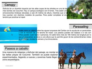 31/01/2017 31
Canopy
Disfruta de un divertido trayecto por las altas copas de los árboles en una de las zonas
más bonitas de Cozumel. Hay un parque ecológico con 6 torres. Tres están unidas por
emocionantes tirolesas elevadas a casi 25 metros de altura, mientras que a las otras
tres cuentan con distintos modelos de puentes. Para poder completar el circuito se
tendrá que practicar el rapel.
Parasailing
Vuela como un pájaro sobre las aguas turquesas del Caribe con la ayuda de un paracaídas
y con la tracción de una lancha de motor. Los paseos pueden ser biplaza o si vas con
niños pueden subir hasta 3 personas. El cable tiene más de 180 metros de longitud por lo
que el paracaídas se eleva a una altura que te permite gozar de las extraordinarias vistas
de la isla. No olvides tu cámara y tus binoculares.
Paseos a caballo
Una manera de relajarse y disfrutar del paisaje, es montar en dóciles caballos en
las bellas playas de Cozumel. También se puede explorar la selva con guías
experimentados, llegando a cuevas y cavernas hasta llegar a un cenote o a una
zona arqueológica.
 
